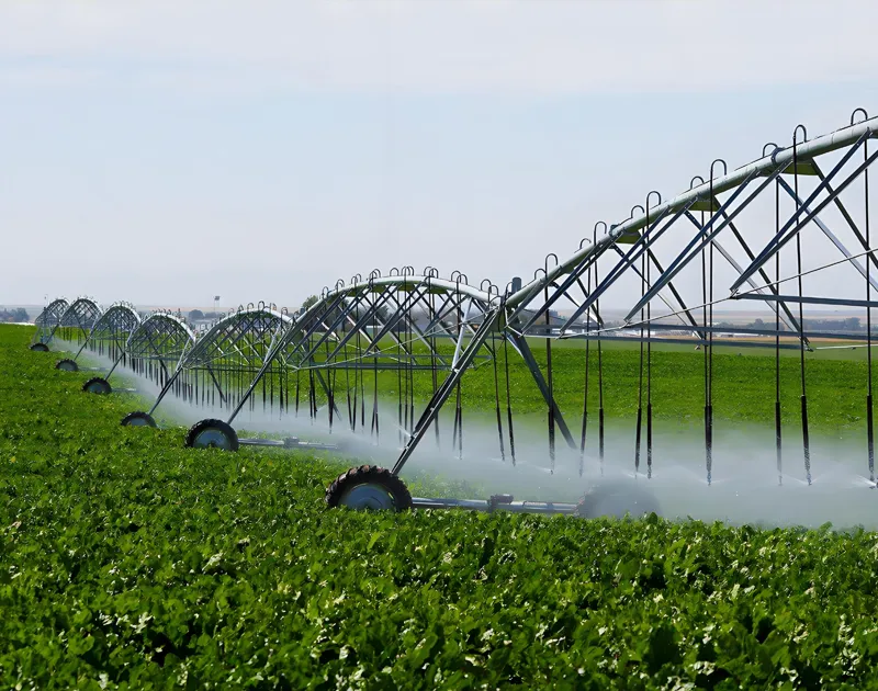 Système d'irrigation de micro-épinkler
