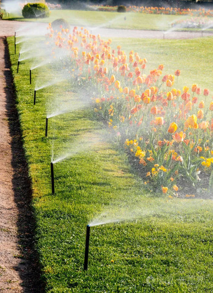 Irrigation du paysage