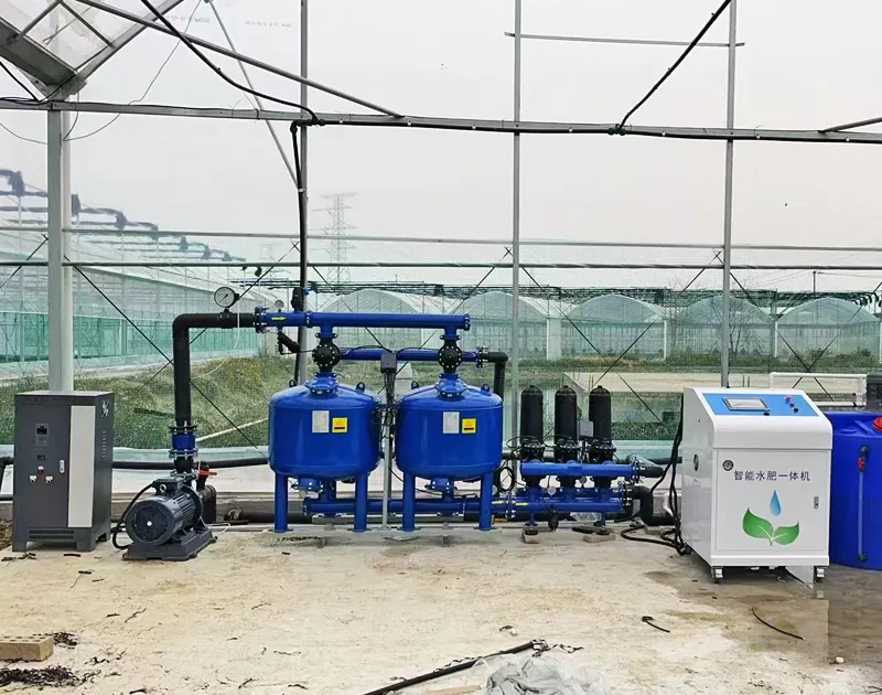 Projet de culture de tomates en Chine Gansu