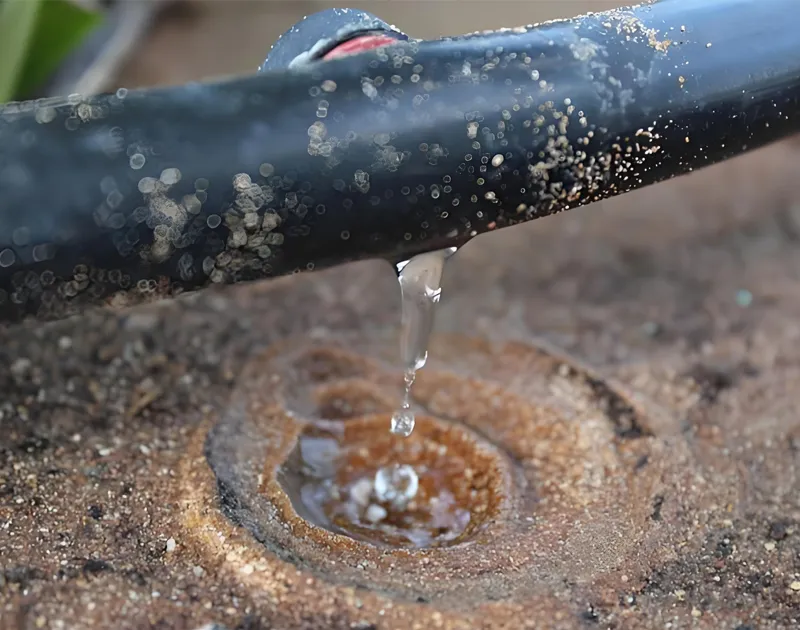 Irrigation goutte à goutte